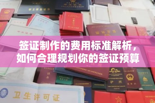 佛冈签证制作的费用标准解析，如何合理规划你的签证预算